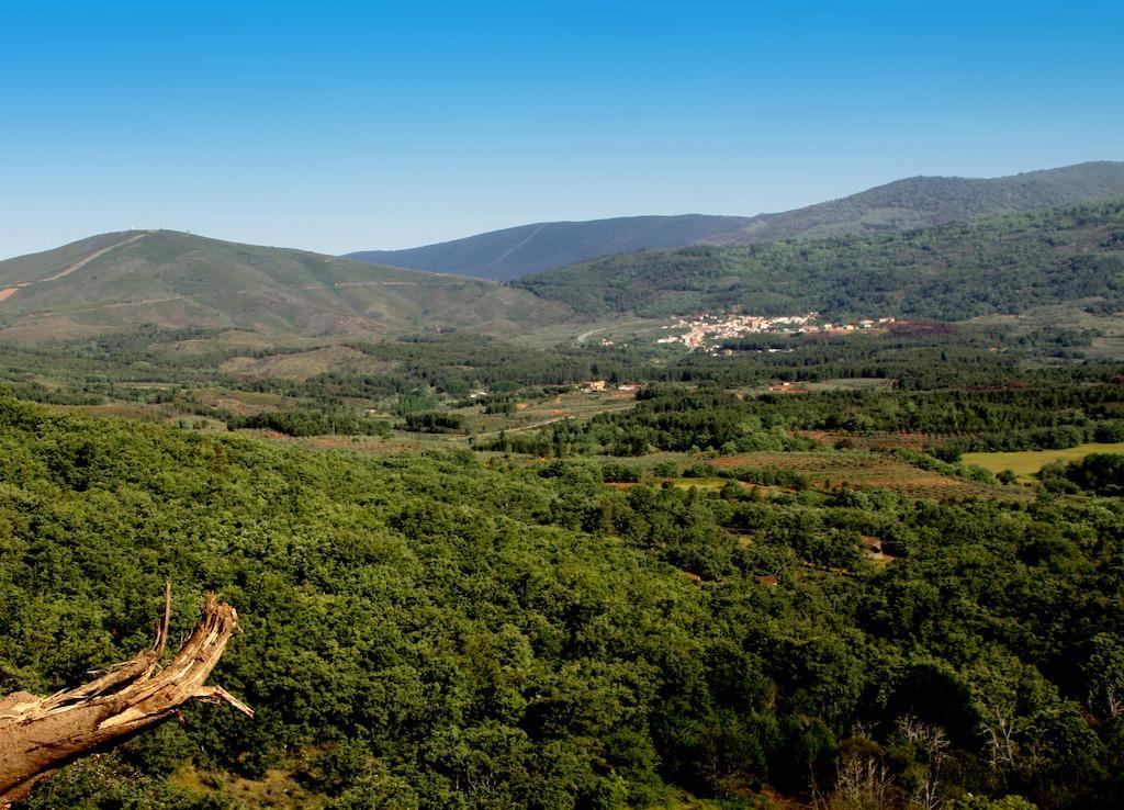 La Boticaria Casa Rural Apartamento Descargamaria ภายนอก รูปภาพ